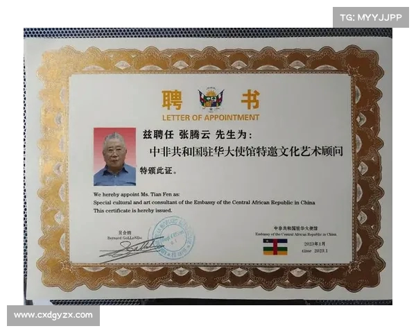 谢菲联足球俱乐部历史辉煌与未来发展潜力的深度分析 谢菲联足球俱乐部历史辉煌与未来发展潜力的深度分析