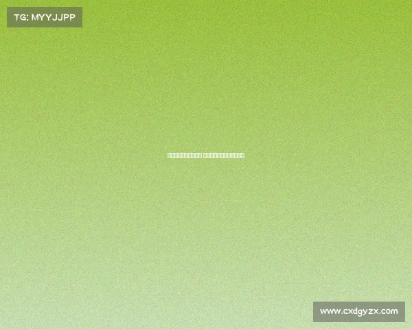 迈阿密热火队重塑辉煌 未来星光闪耀球场的新篇章